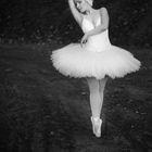 Swan Lake V