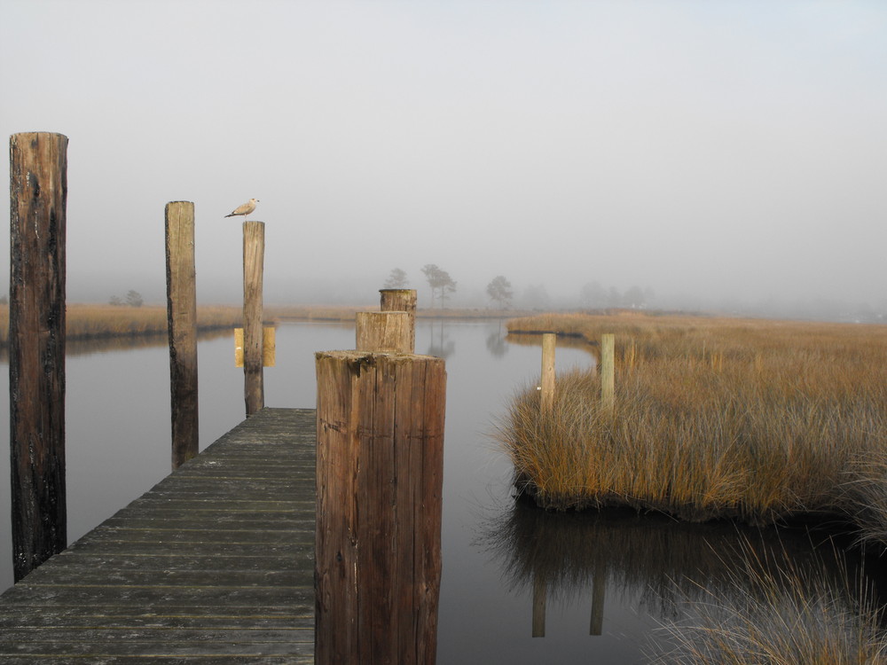 Swan Quarter Landing Marsh