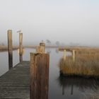 Swan Quarter Landing Marsh