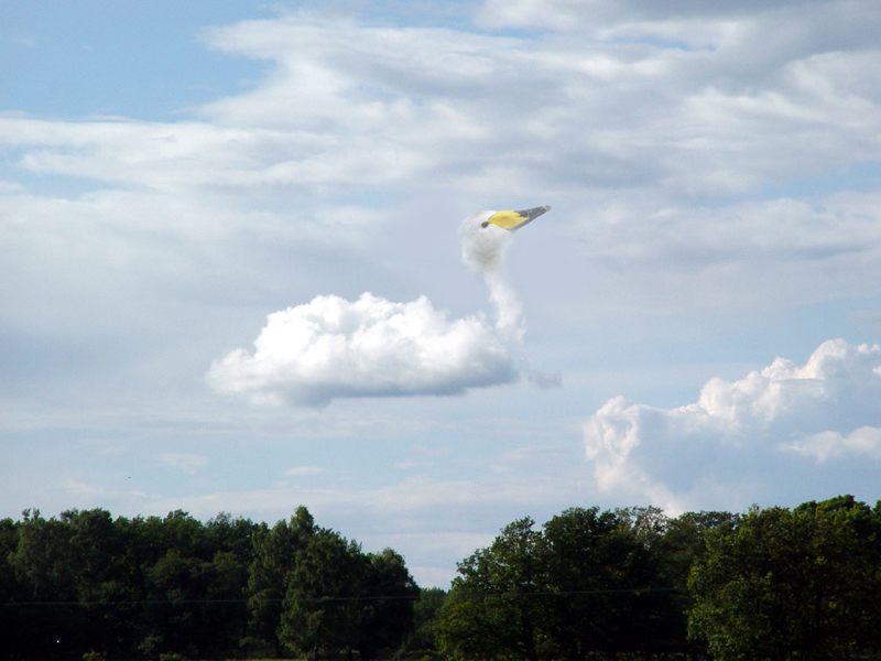 SwanCloud