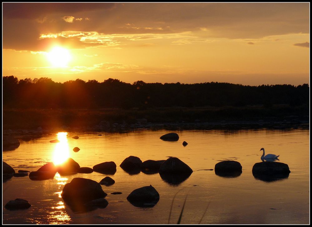 swanlights von Claudia Kirchner 