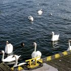 swanoujscie