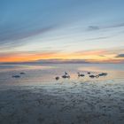 Swans at Sunset