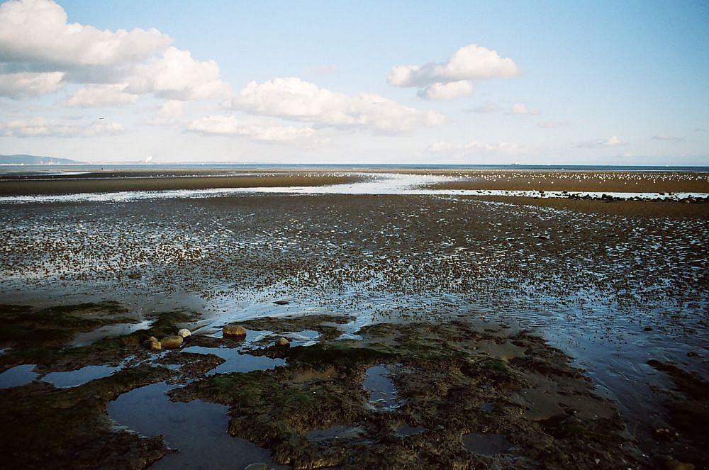 Swansea bay