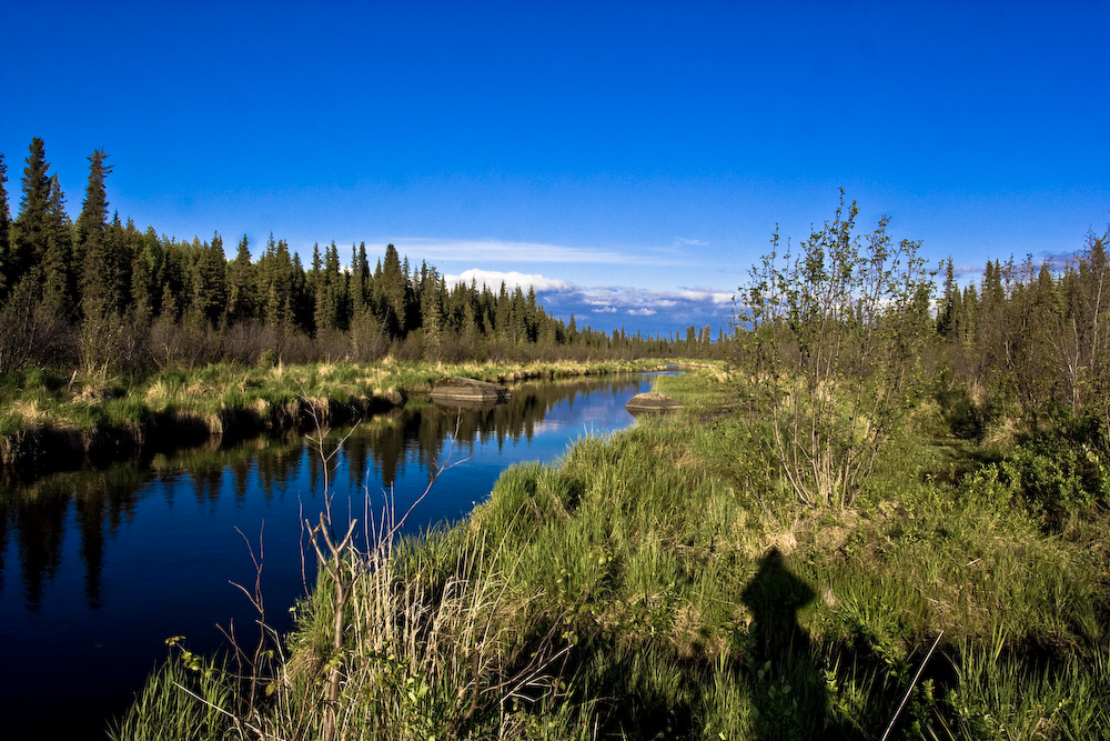 Swanson River AK