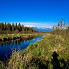 Swanson River AK