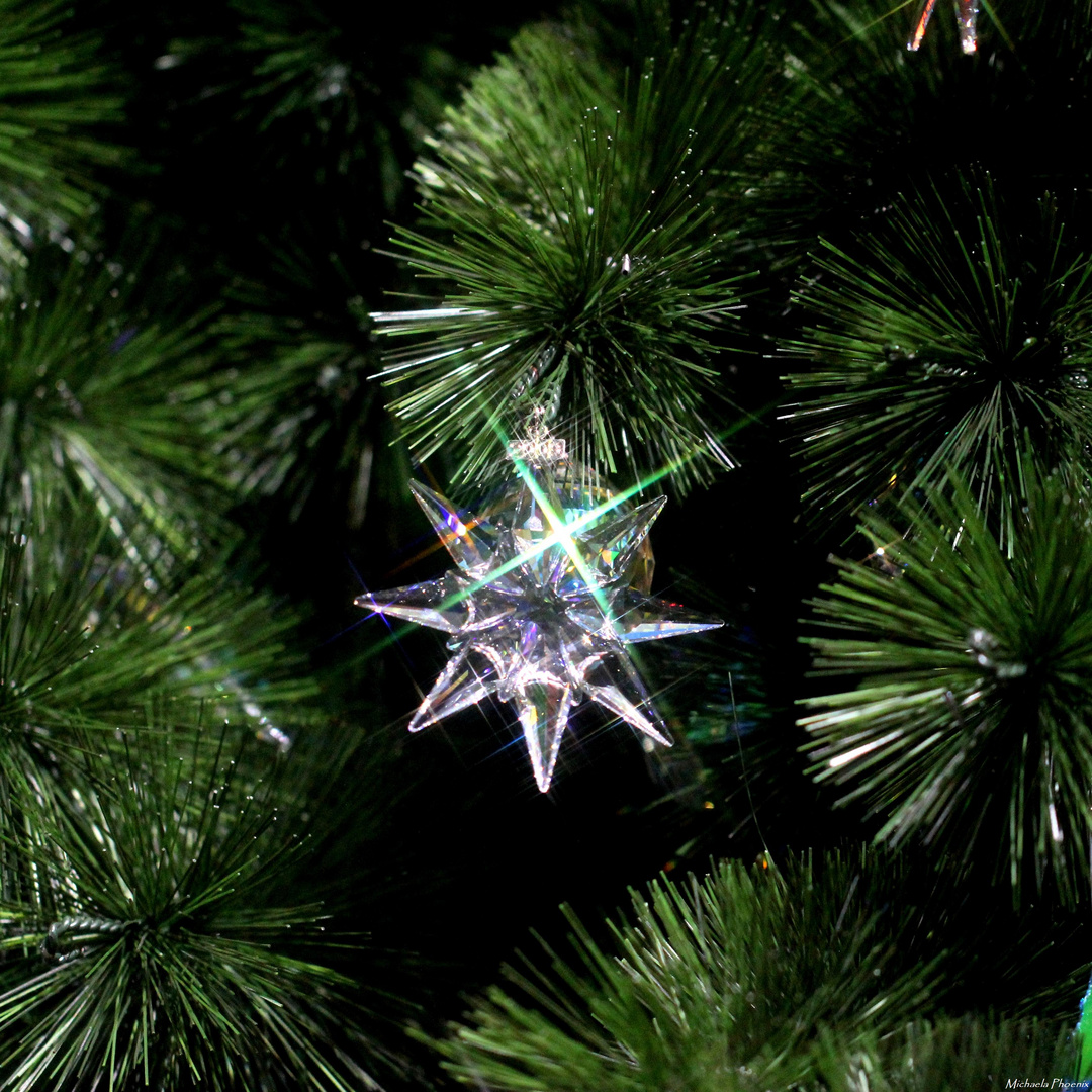 SWAROVSKI Crystal Star