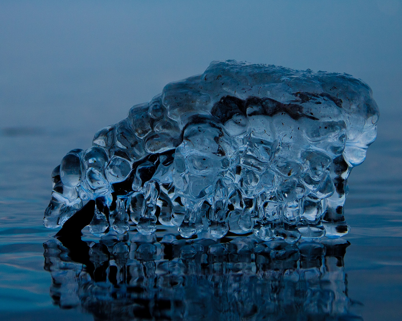 Swarovski im Bodensee