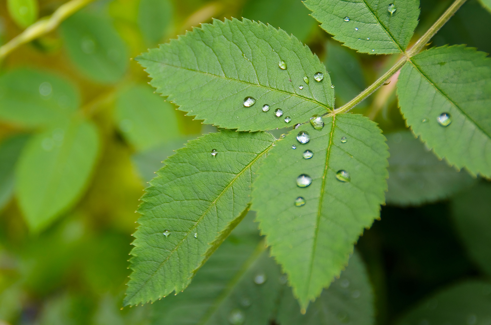 Swarovskikristalle der Natur