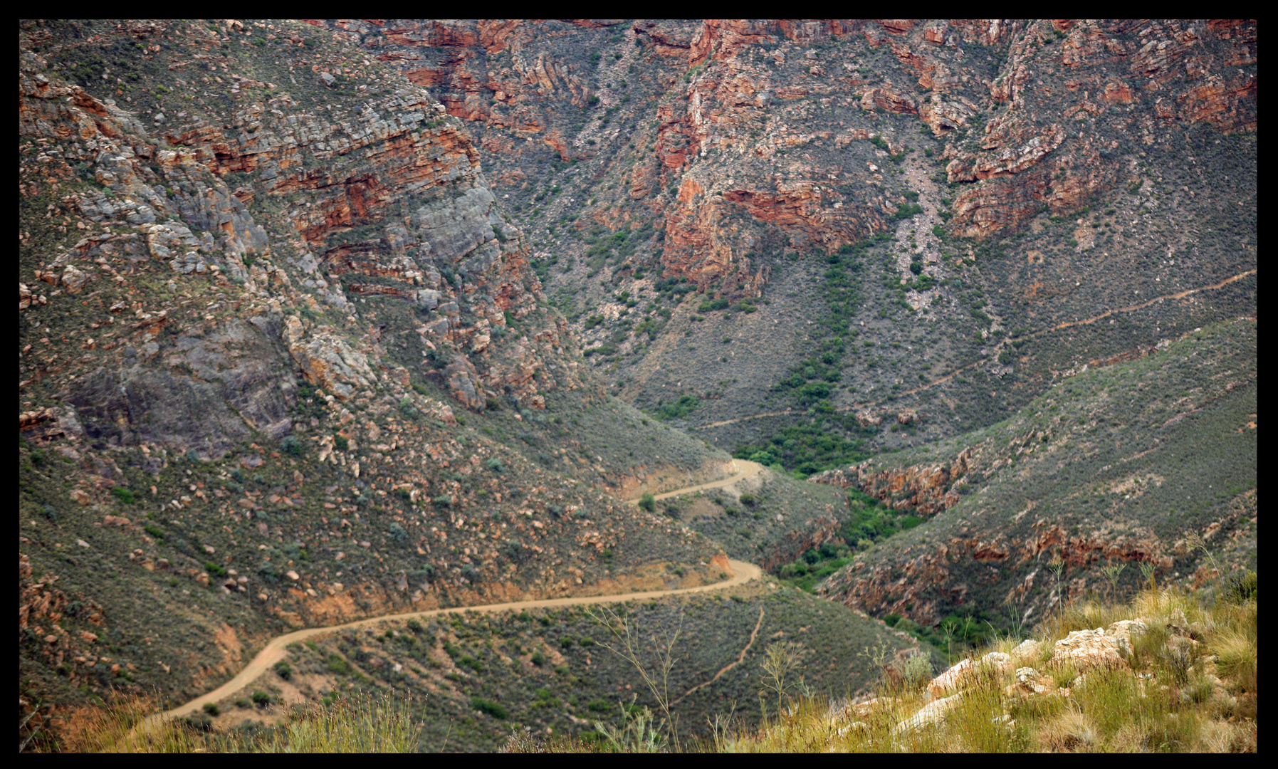 Swartberg Pass near Knysna South Africa