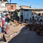 Swayambhunath 10