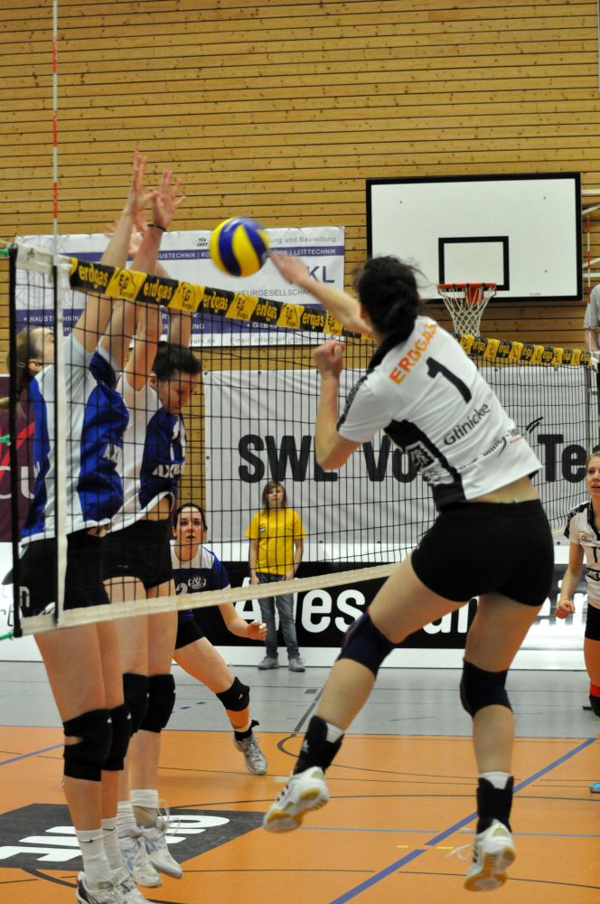 SWE Volley Team - SV Sinsheim