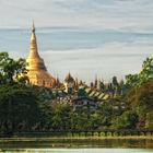 Swedagon 3