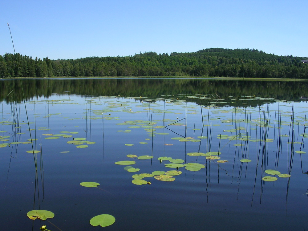 Sweden, 2008