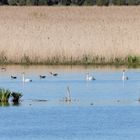 Sweden / Bålsta Natur reserv