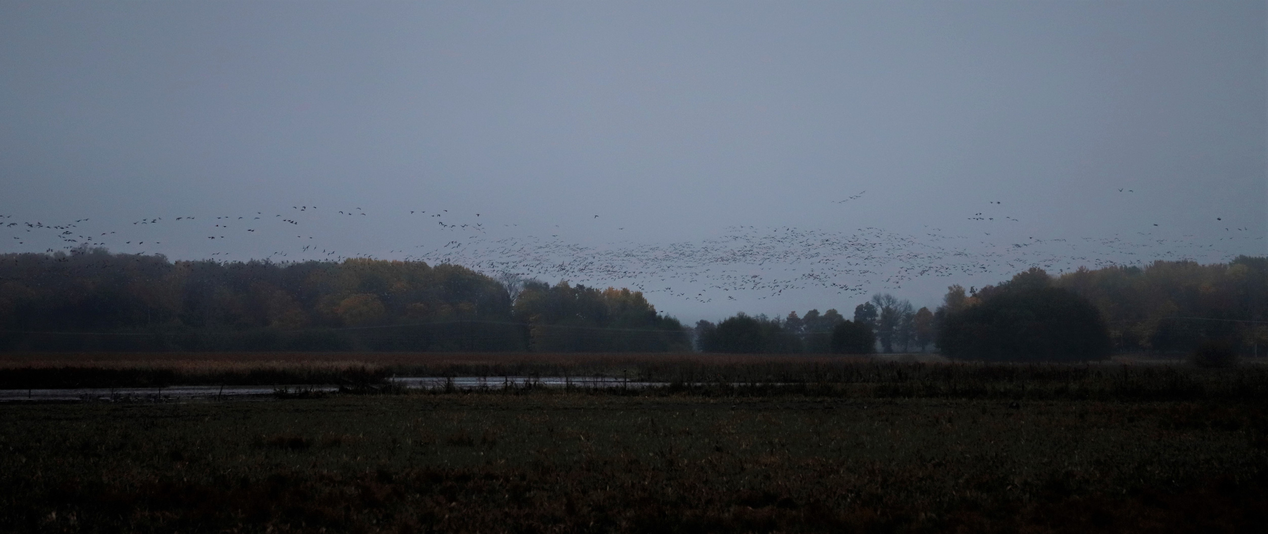 Swedish autumn