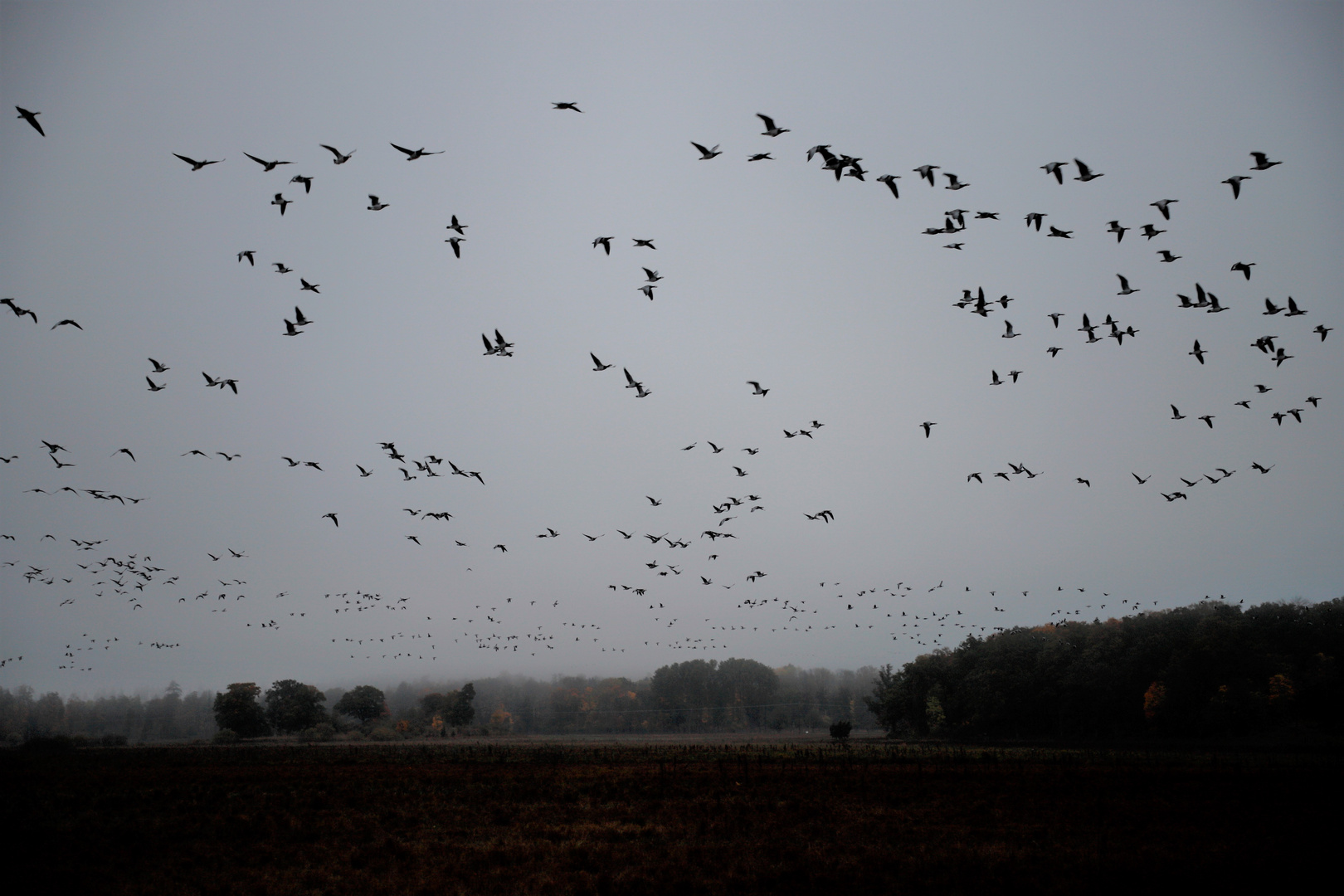 Swedish autumn