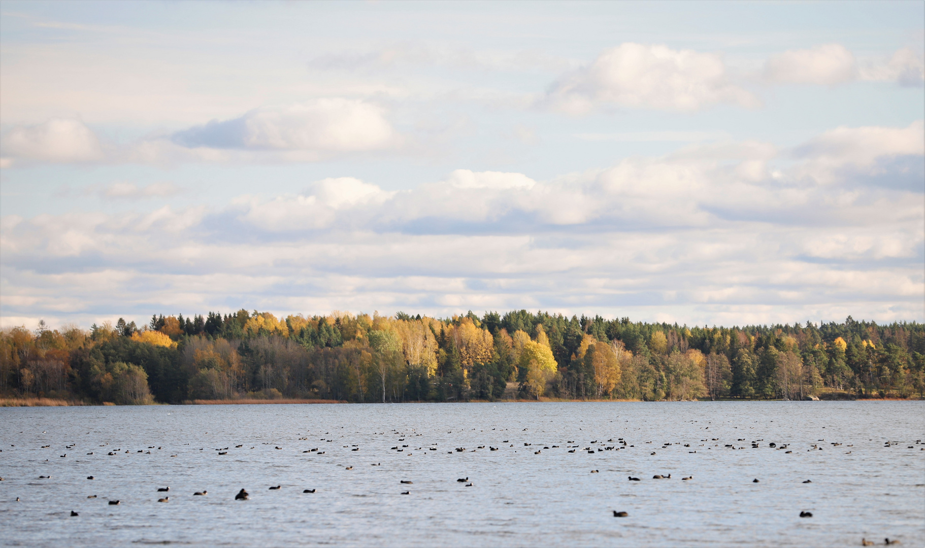 Swedish autumn