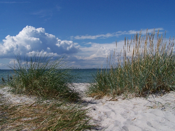 Swedish beach 2