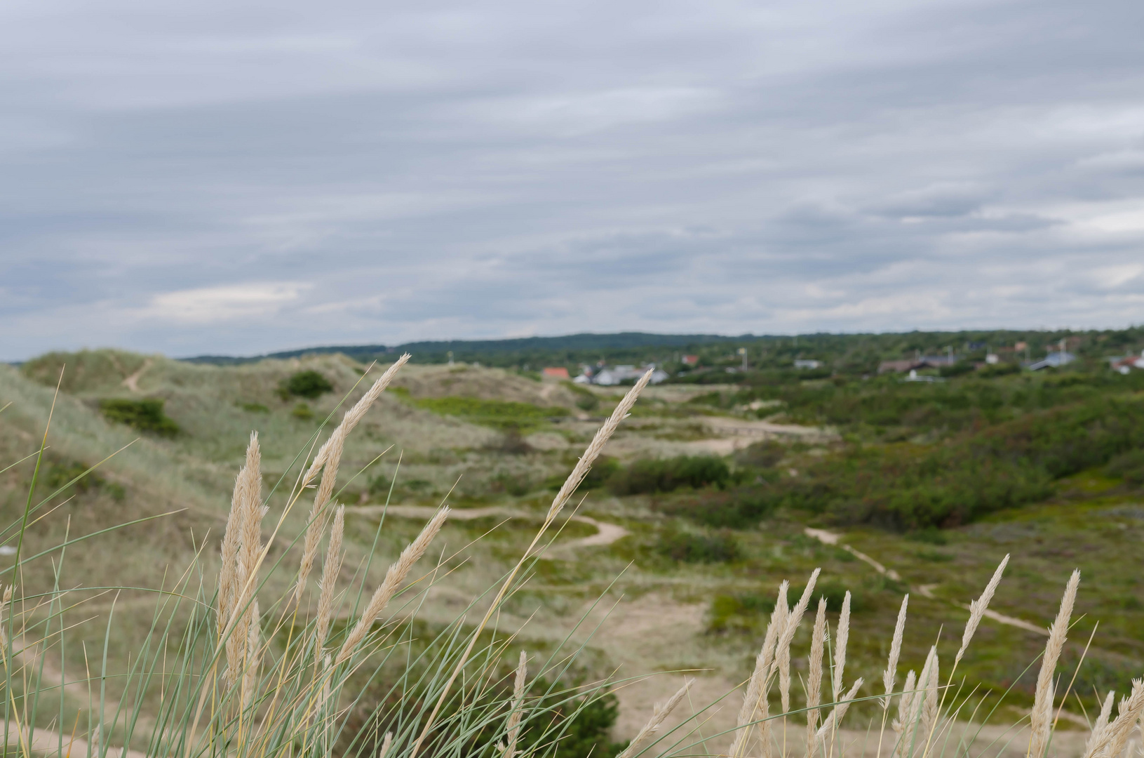 swedish sand dunes