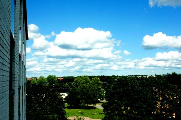 Swedish Summer Afternoon