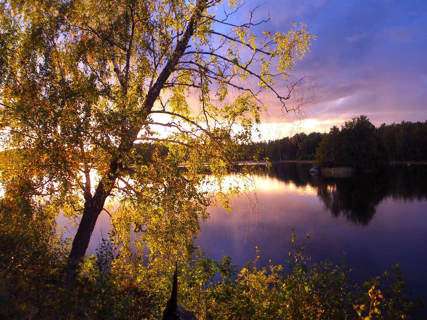 swedish sunset