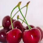 Sweet cherry