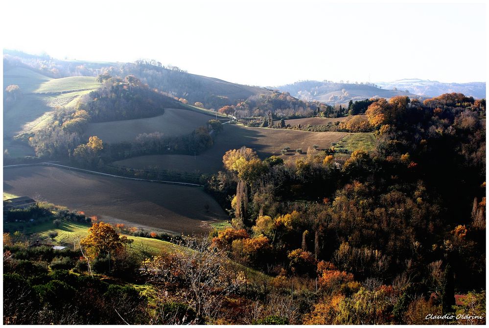 Sweet colors of the hills