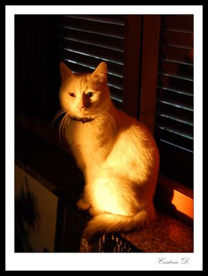 Sweet ma senza esagerare ;)