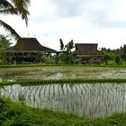 ...Sweet Orange Warung...