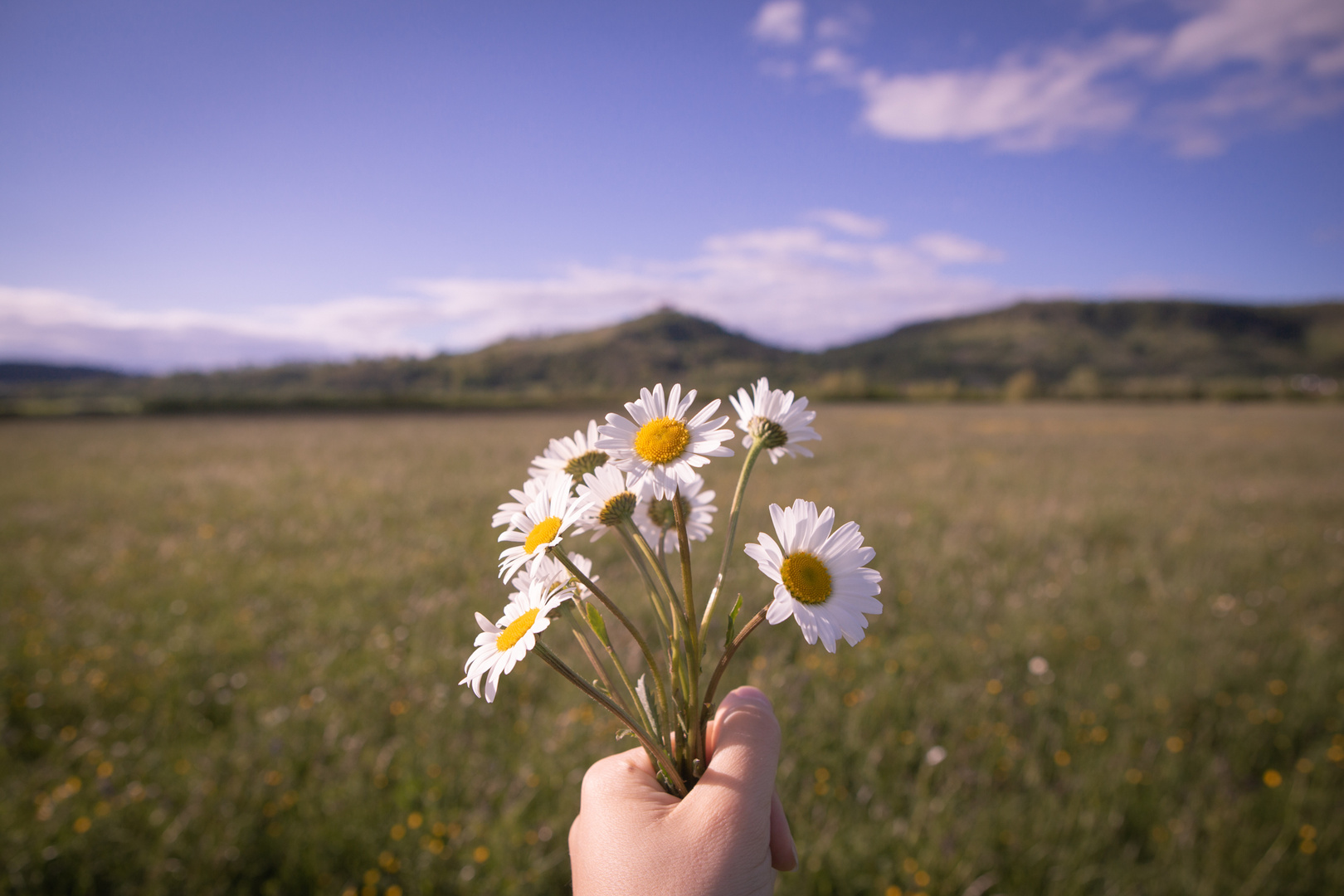 sweet summer day