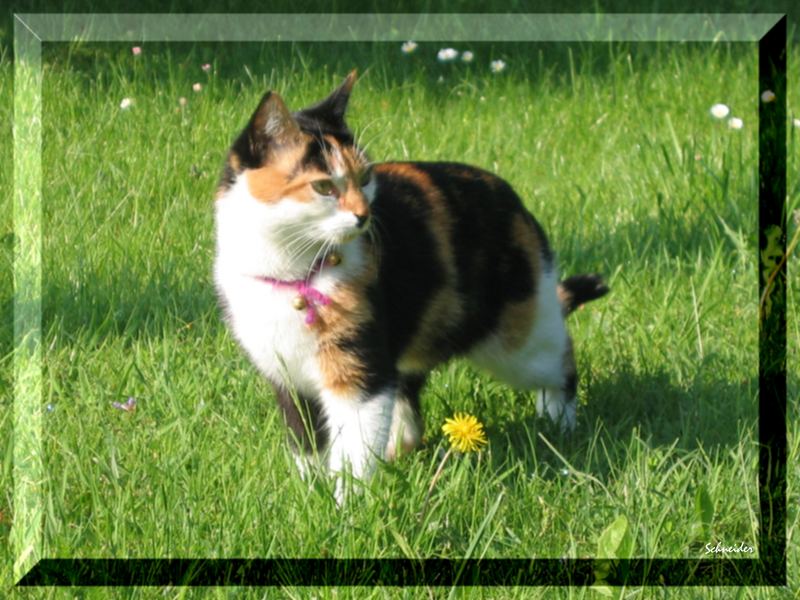 Sweety: bin ich schön...