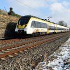 SWEG auf der Neckar-Frankenbahn bei Lauffen  a.Neckar 19.1.2024