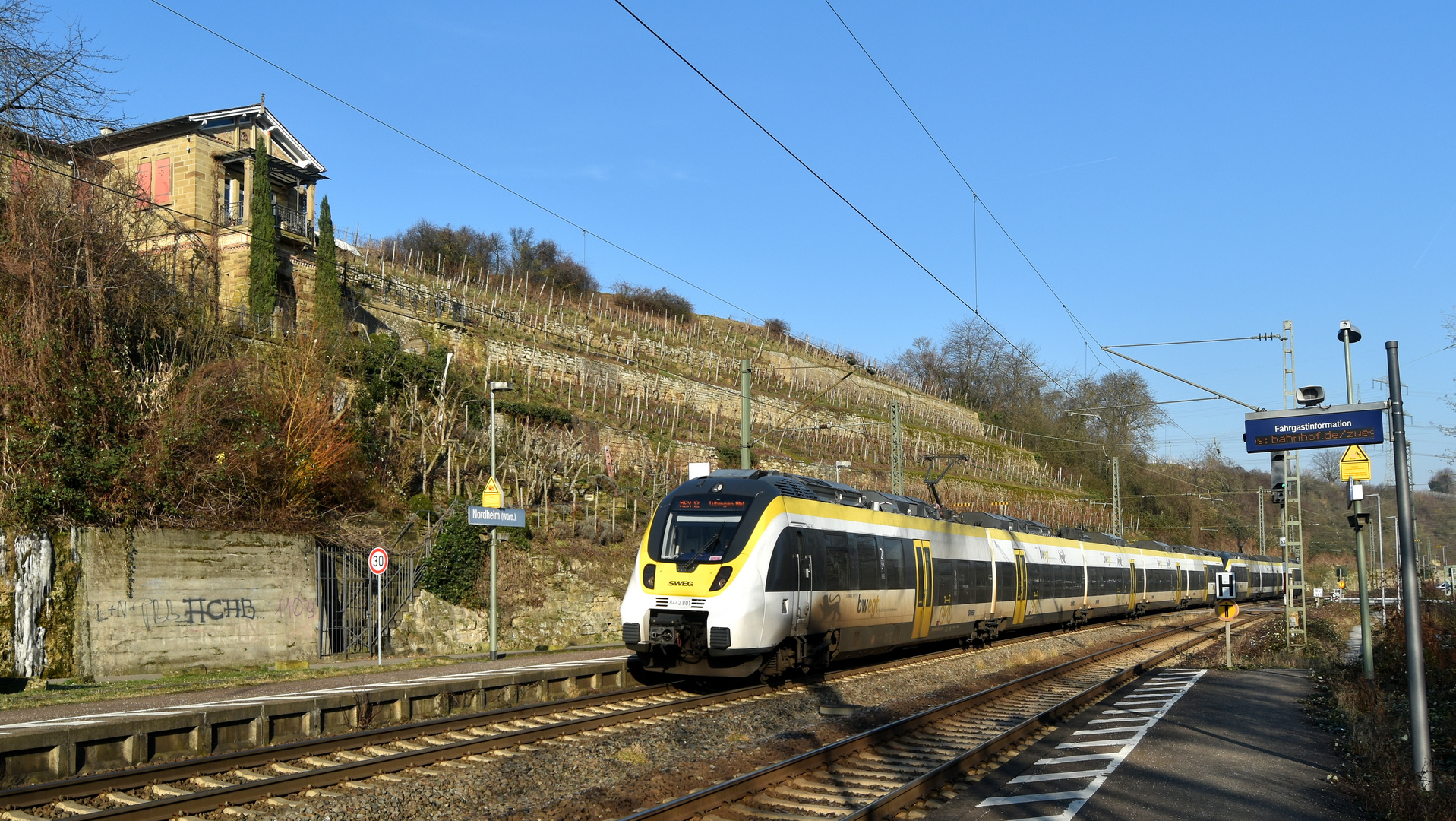 SWEG auf der Neckar-Frankenbahn hält am Hp Nordheim  unterhalb der Weinbergvilla 11.1.2024