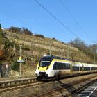 SWEG auf der Neckar-Frankenbahn hält am Hp Nordheim  unterhalb der Weinbergvilla 11.1.2024