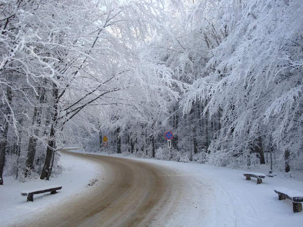 Swietokrzyski National Park