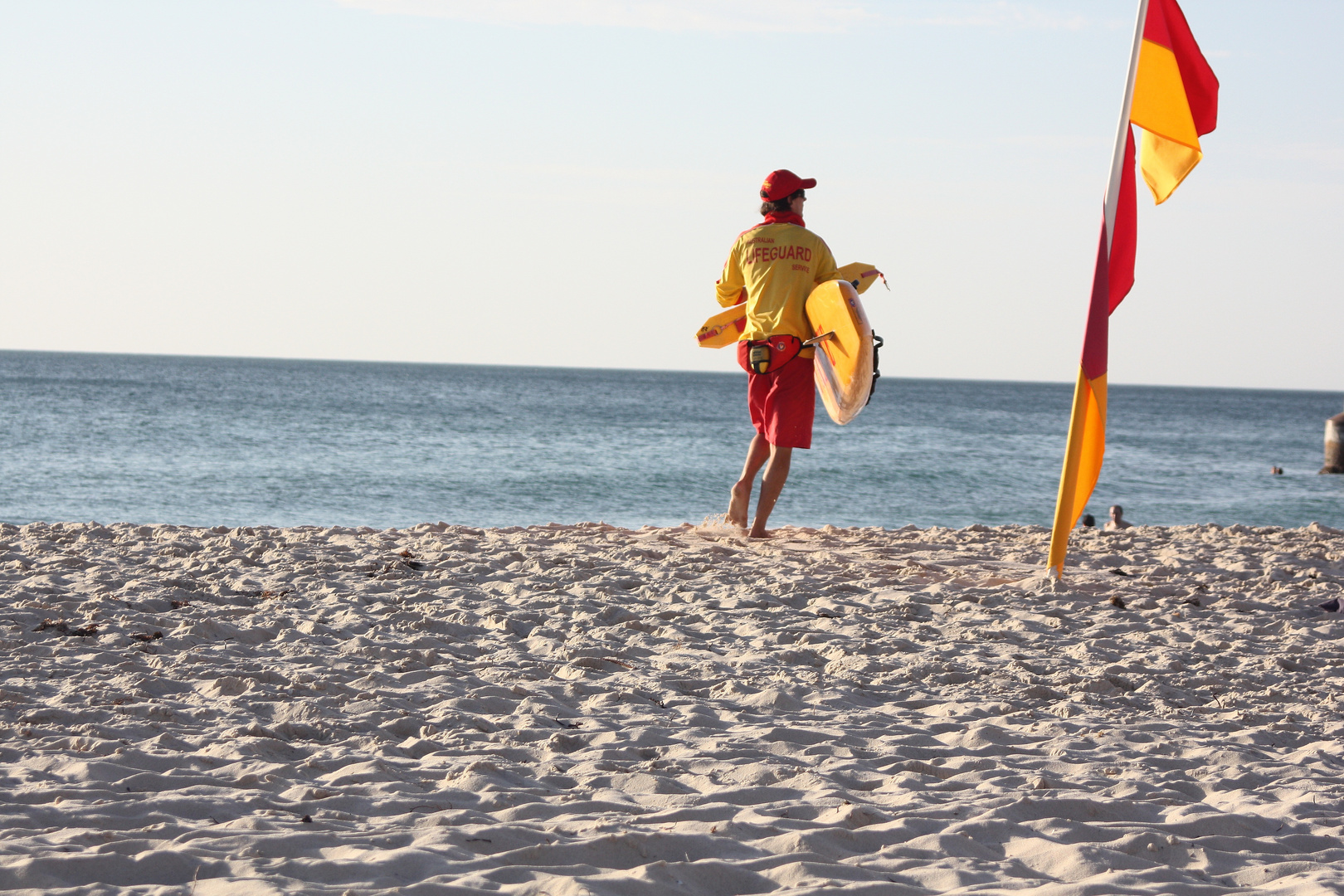 swiming between the flags