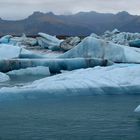 Swimming Blue Ice