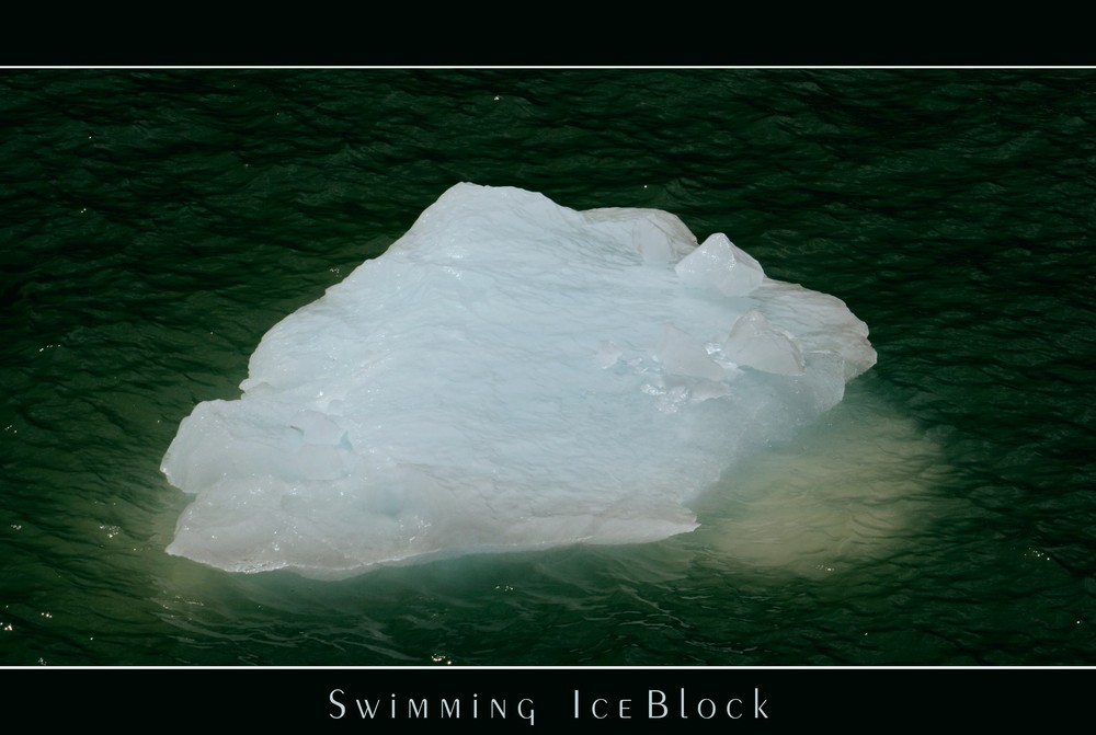swimming ice block