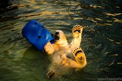 swimming is fun!