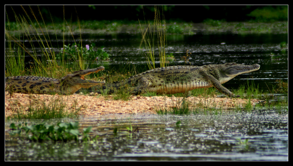 ... swimming is not recommended here ...