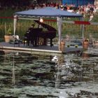 "Swimming Piano" in Schlemmin