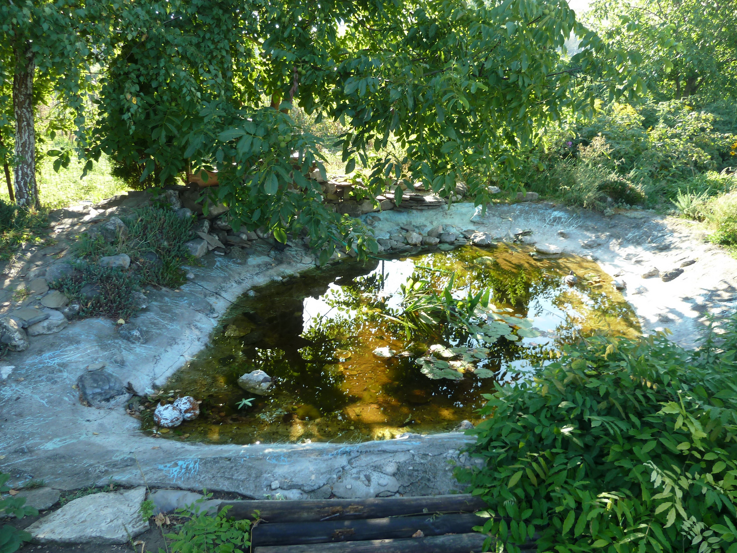 Swimming Pool in progress