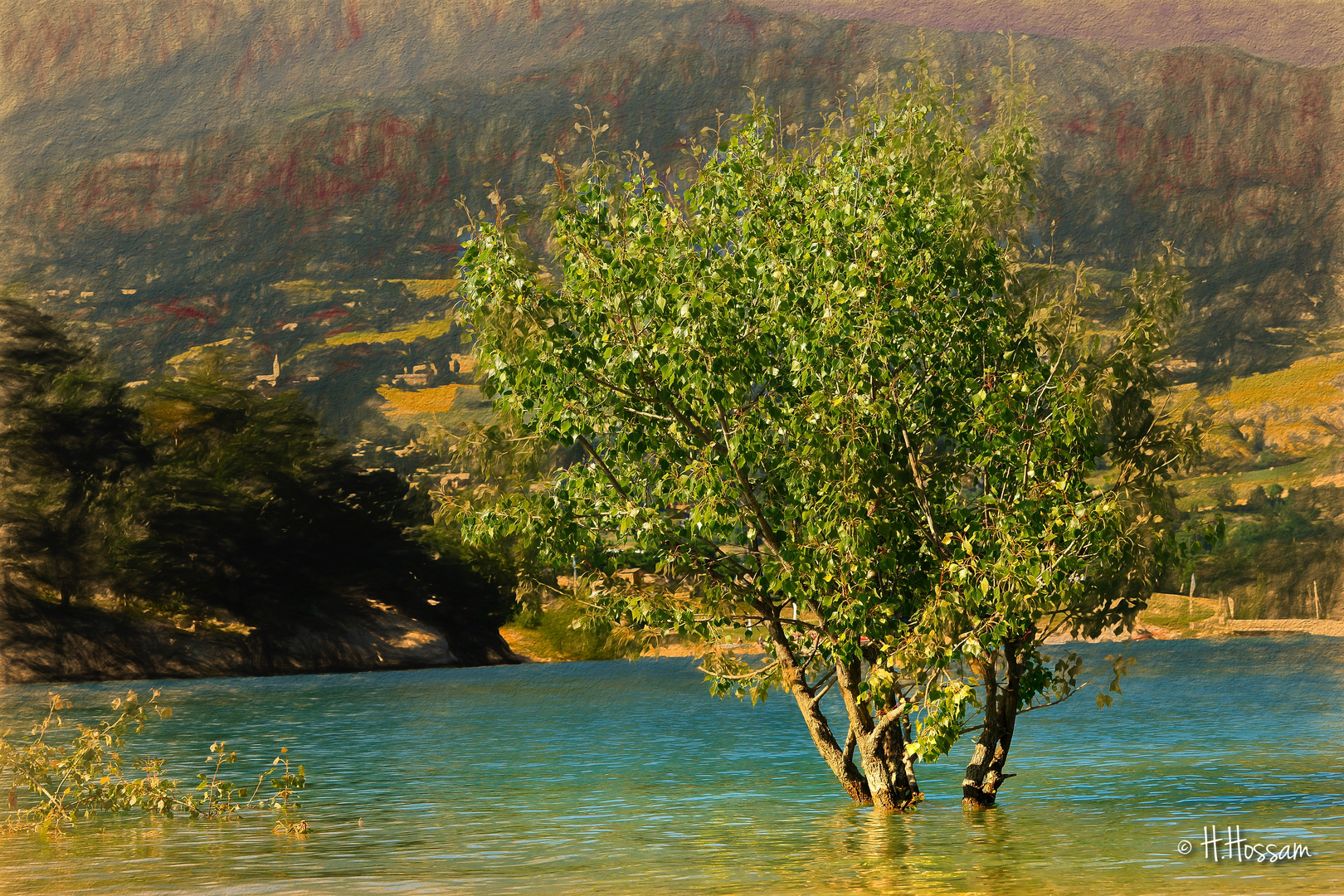 Swimming Tree