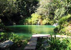 Swimmingpool Natur