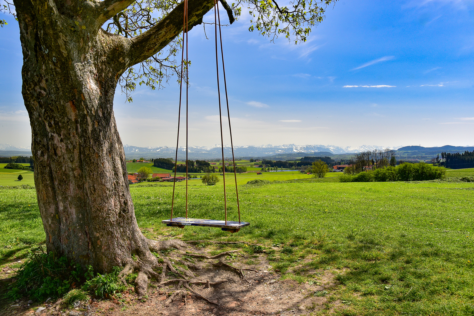 SWING TIME