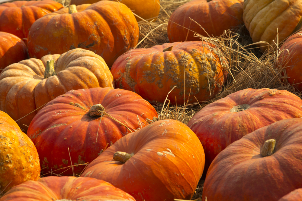 s'wird Herbst