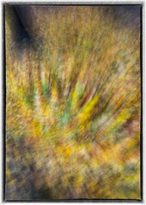 Swirling Autumn Colors
