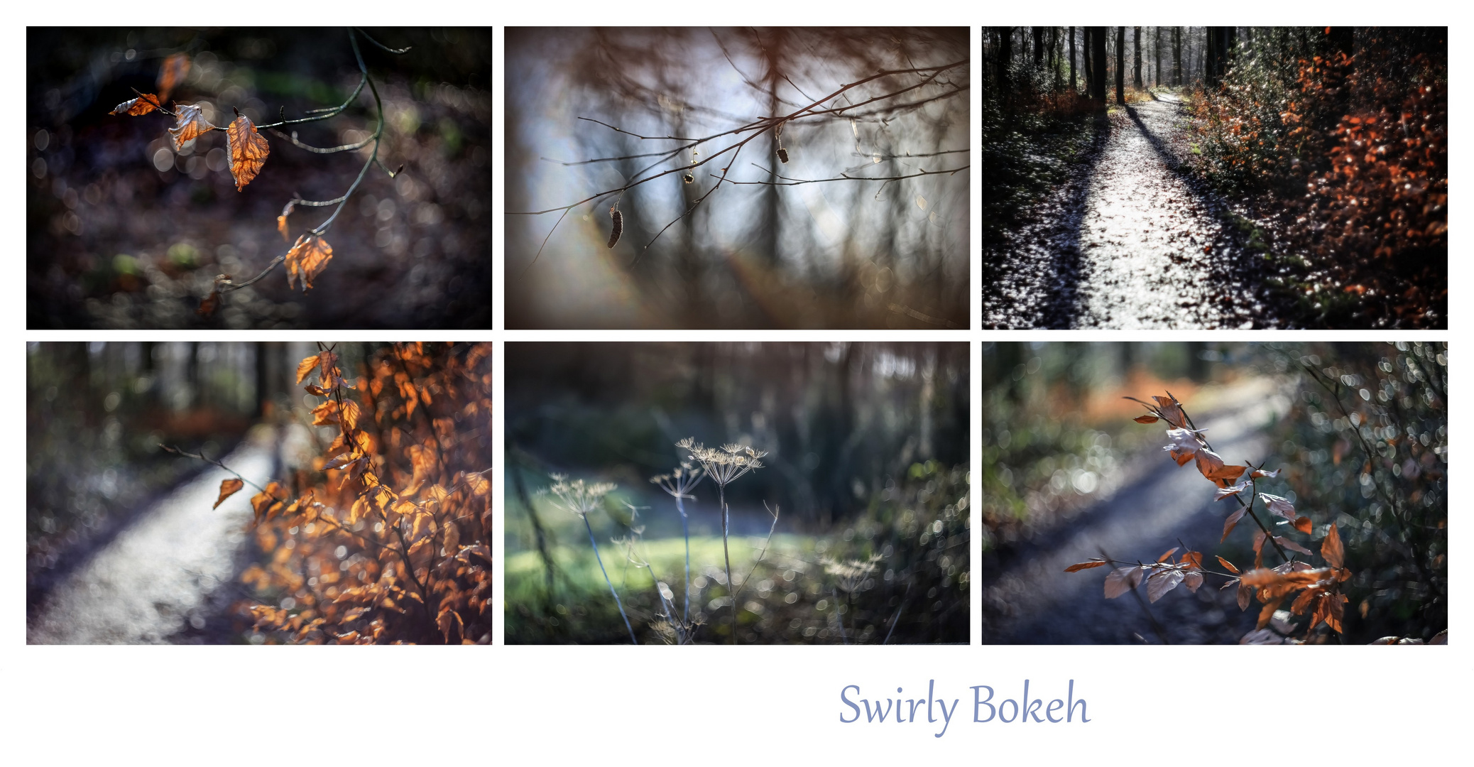 Swirly Bokeh