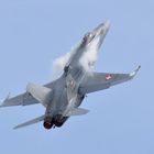 Swiss Airforce  F/A-18 Hornet